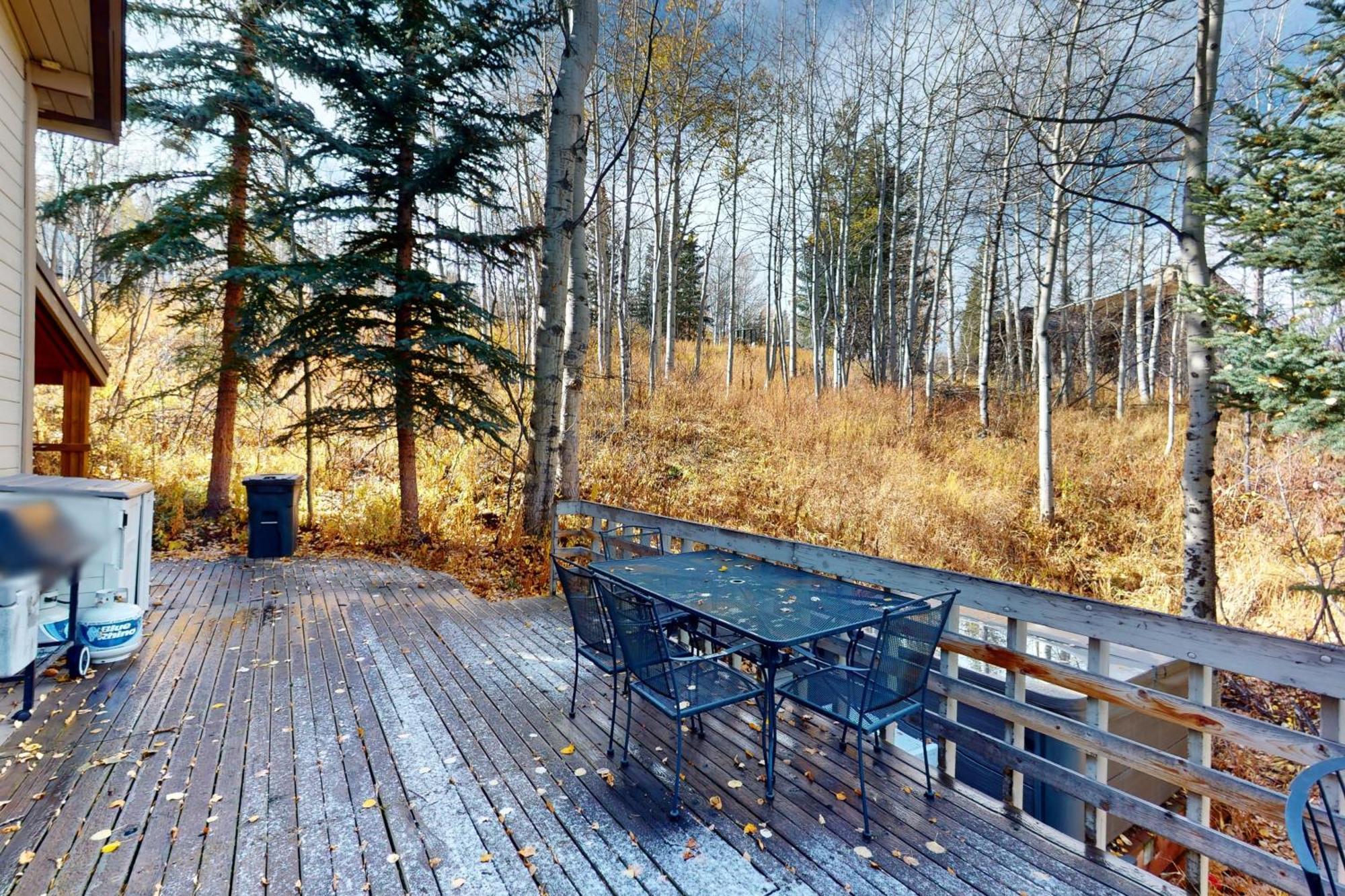 Вілла Wood Road House Сноумасс-Віллідж Екстер'єр фото